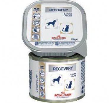 Royal Canin Recovery Canine для взрослых собак и кошек 195г